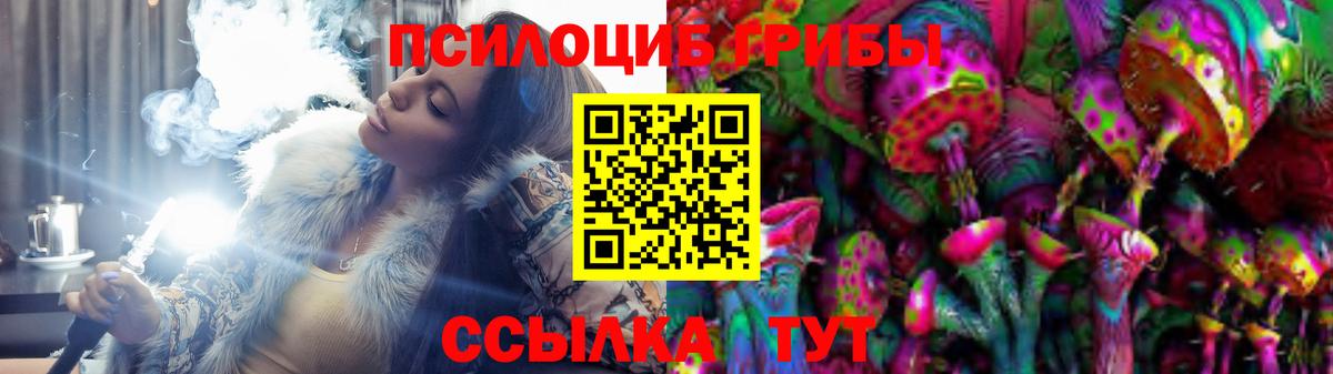 Галлюциногенные грибы Cubensis Дедовск